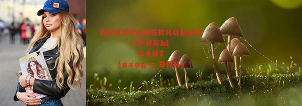 амф Горнозаводск