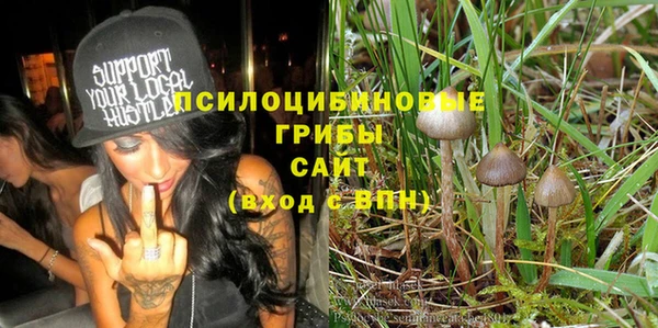амф Горнозаводск