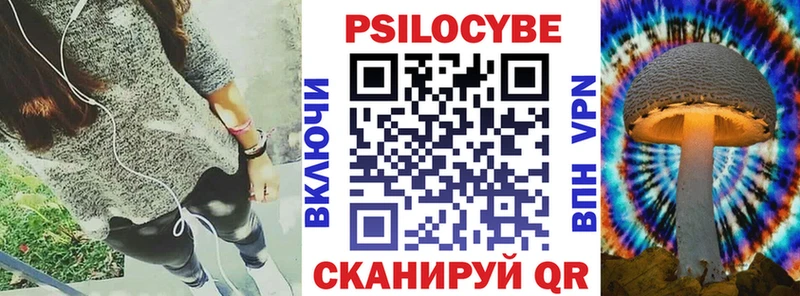 Псилоцибиновые грибы Psilocybine cubensis  Купить  Снежинск 